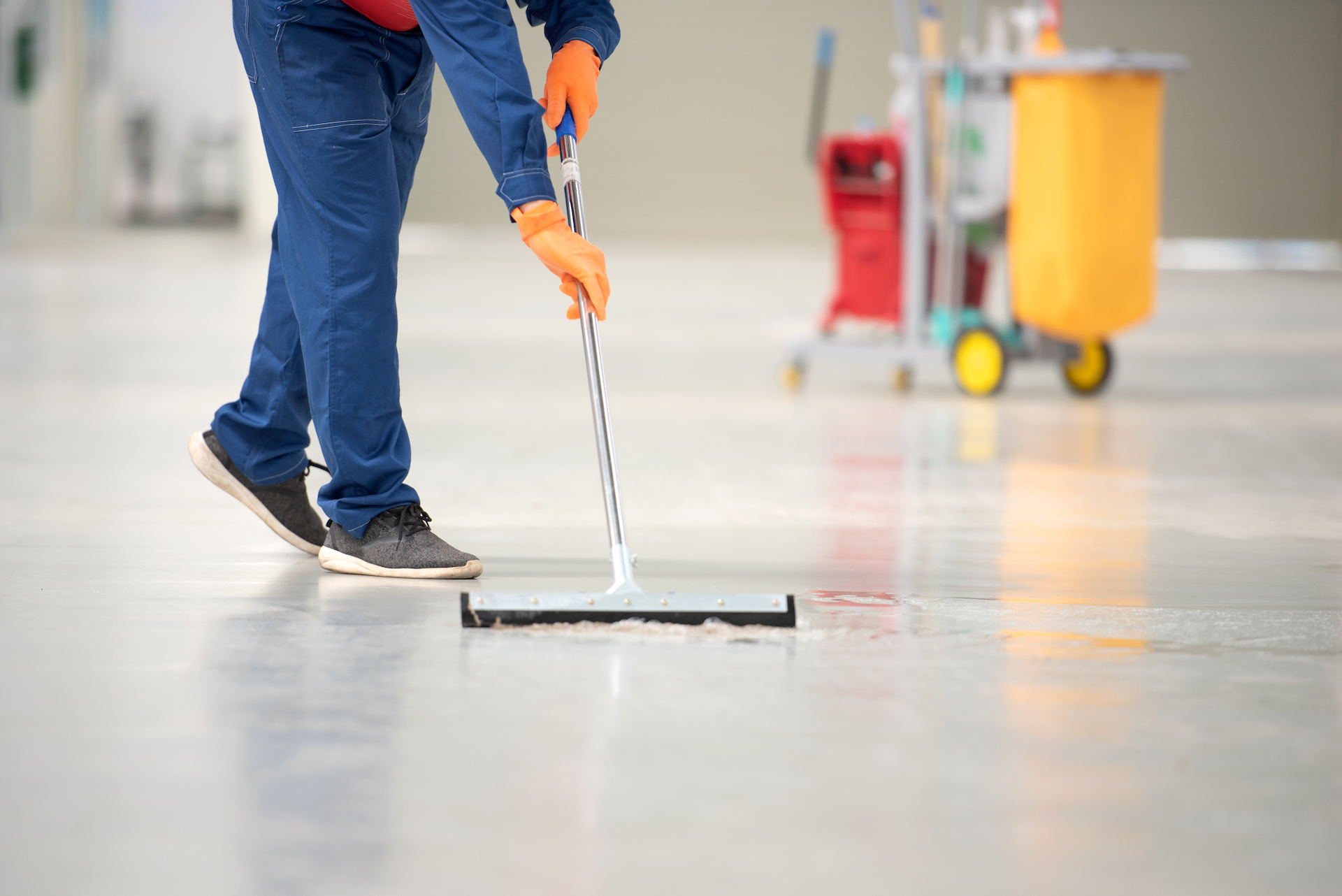 The cleaner washes the floor of the room